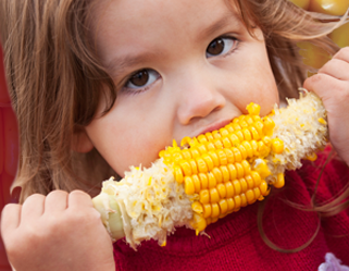 unlabeled GE sweet corn coming to a store near you?