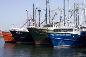 Wild fish populations may be close to collapsing.