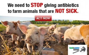 Food & Water Europe Stop Giving Antibiotics to Healthy Animals